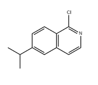 1-chloro-6-propan-2-ylisoquinoline 630422-59-2